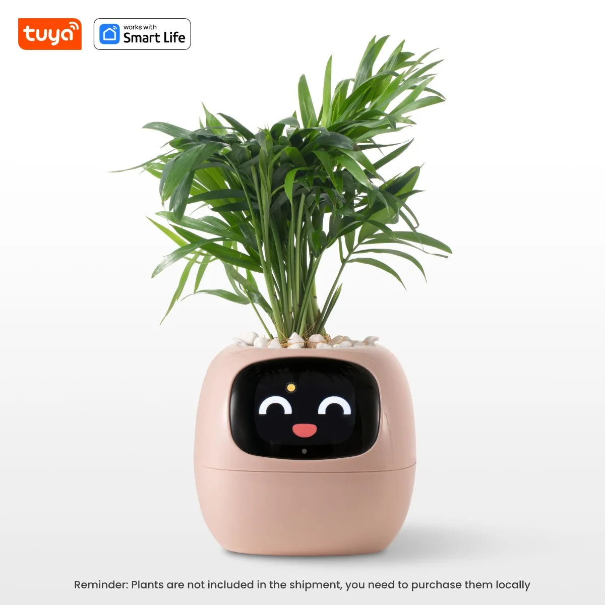 Favolux™ Smart Planter,Endless Fun Over 49 Rich Expressions,7 smart sensors,AI Chips Make Raising Plants Easy and Fun