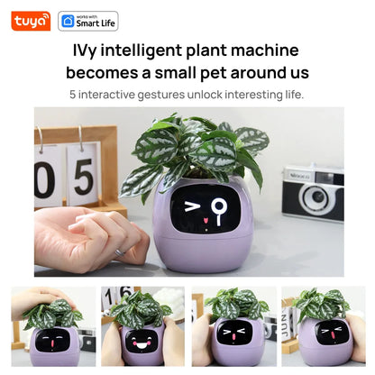 Favolux™ Smart Planter,Endless Fun Over 49 Rich Expressions,7 smart sensors,AI Chips Make Raising Plants Easy and Fun