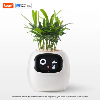 Favolux™ Smart Planter,Endless Fun Over 49 Rich Expressions,7 smart sensors,AI Chips Make Raising Plants Easy and Fun