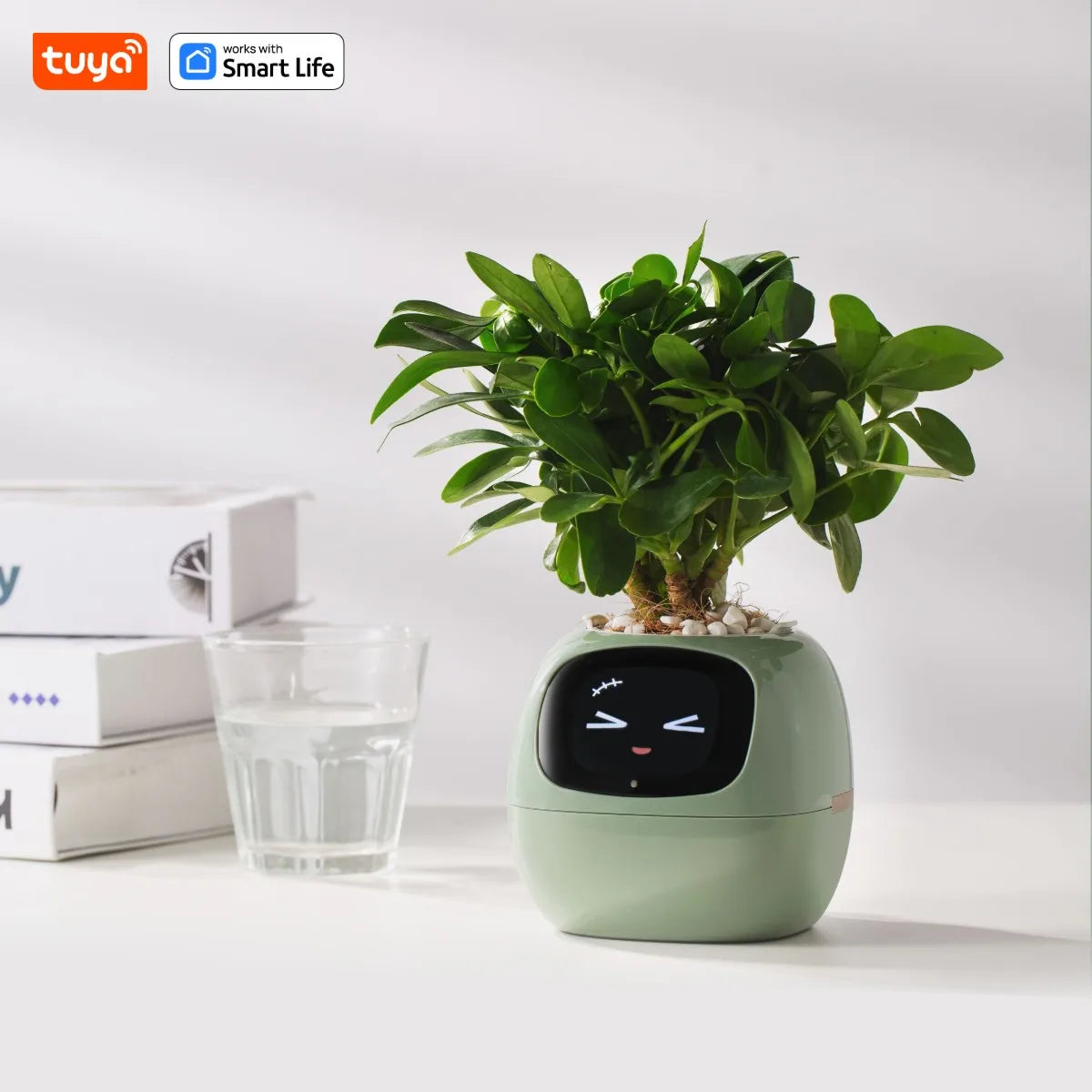 Favolux™ Smart Planter,Endless Fun Over 49 Rich Expressions,7 smart sensors,AI Chips Make Raising Plants Easy and Fun