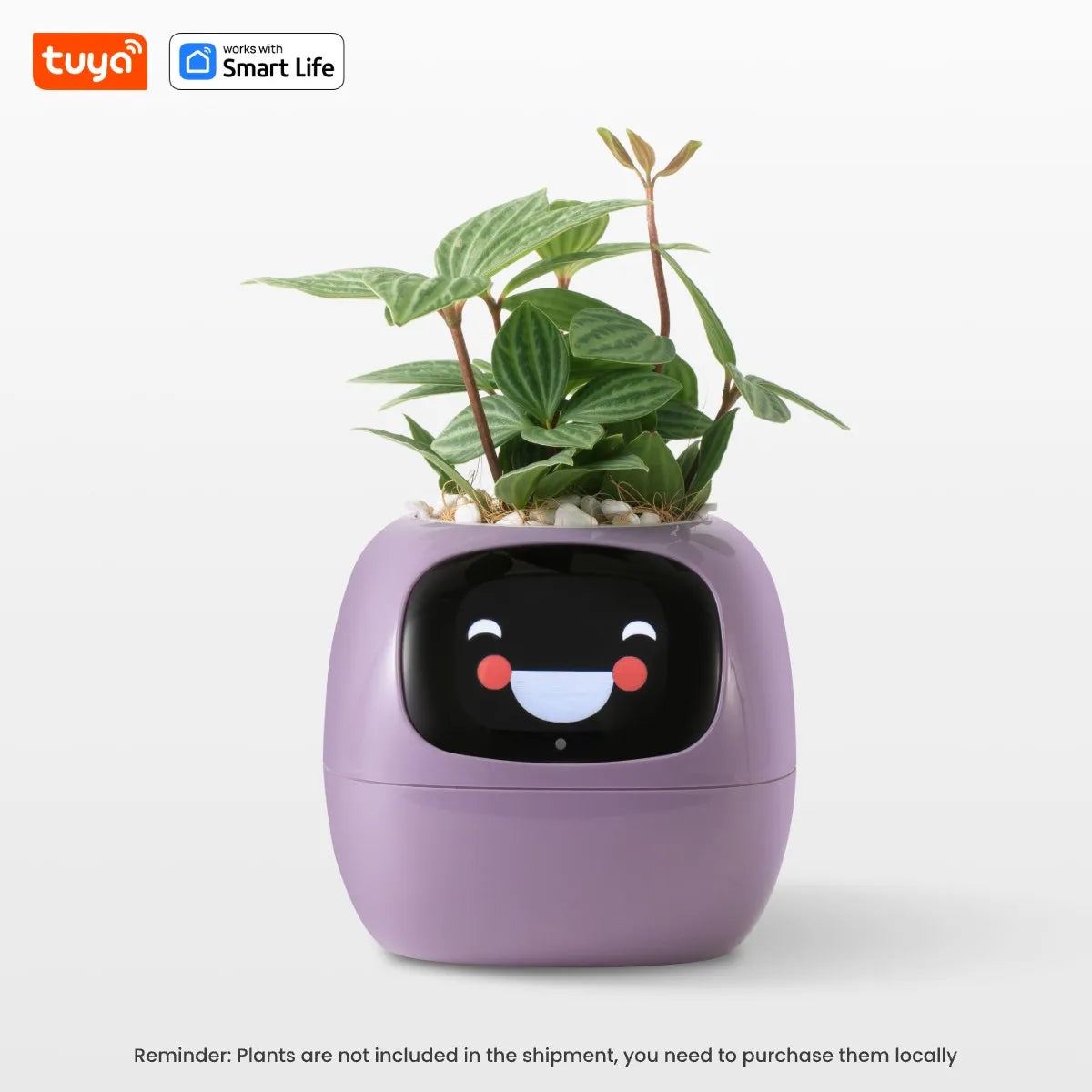 Favolux™ Smart Planter,Endless Fun Over 49 Rich Expressions,7 smart sensors,AI Chips Make Raising Plants Easy and Fun