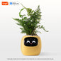 Favolux™ Smart Planter,Endless Fun Over 49 Rich Expressions,7 smart sensors,AI Chips Make Raising Plants Easy and Fun