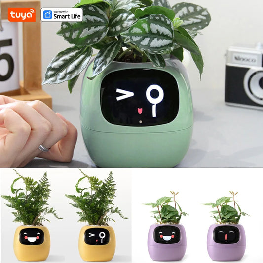 Favolux™ Smart Planter,Endless Fun Over 49 Rich Expressions,7 smart sensors,AI Chips Make Raising Plants Easy and Fun